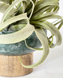 Savon Marble Dish