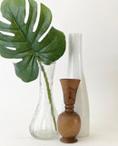 Monstera Leaf Stems
