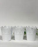 Lacey Holders