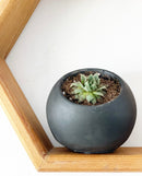 Slanted Orb Pots