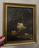 Swimming Ducks Canvas Print