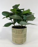 Totoro Plant Pot -Green