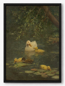 Swimming Ducks Canvas Print