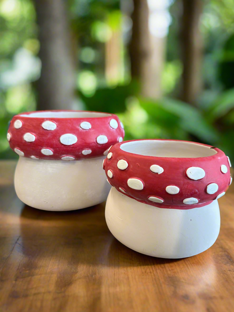 Mushroom Plant Pots