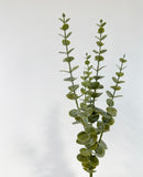 Faux Eucalyptus Stems