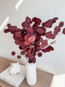 Burgundy Silver Dollar Eucalyptus