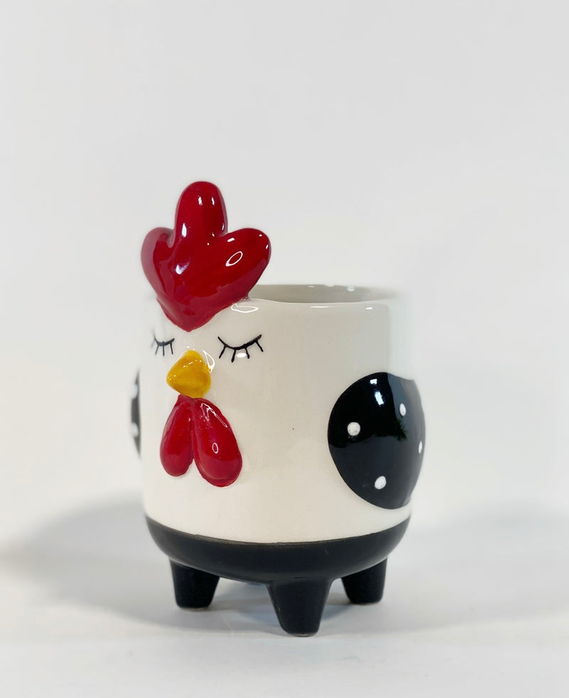 Rooster Plant Pot