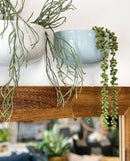 Centra Wall Planters -Blue
