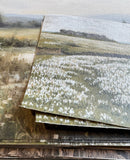 Soft Valley Landscape Canvas Print