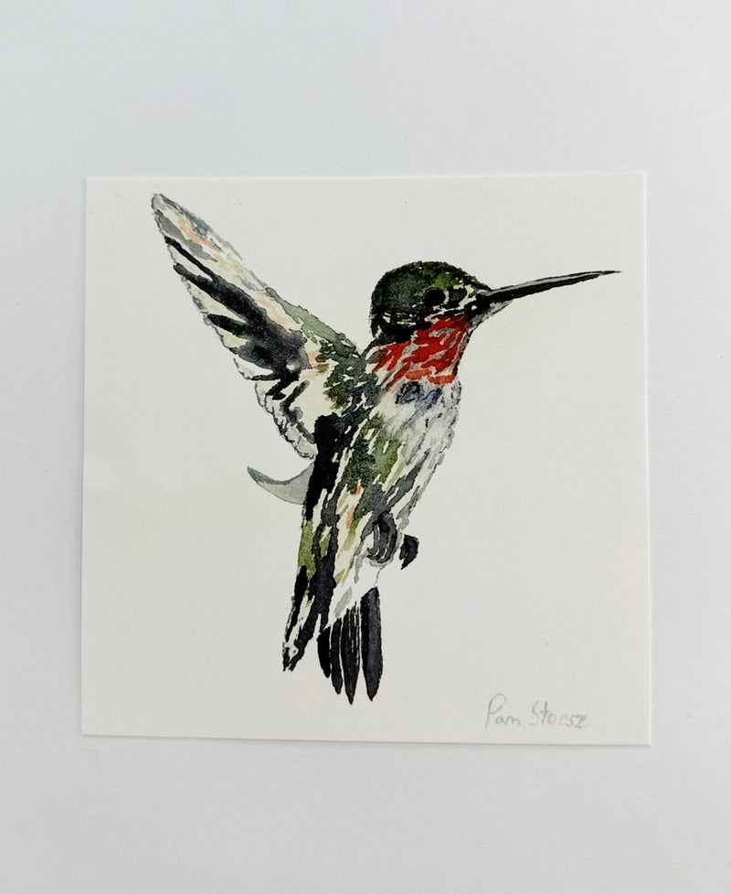 Pam Stoez Hummingbird Art Print