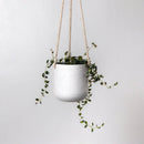 Faux Stone Hanging Pot -4"