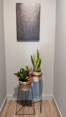 Miss Canvas Wall Art