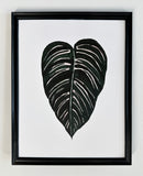 Calathea Art Print
