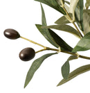 Polly Potted Olive Tree