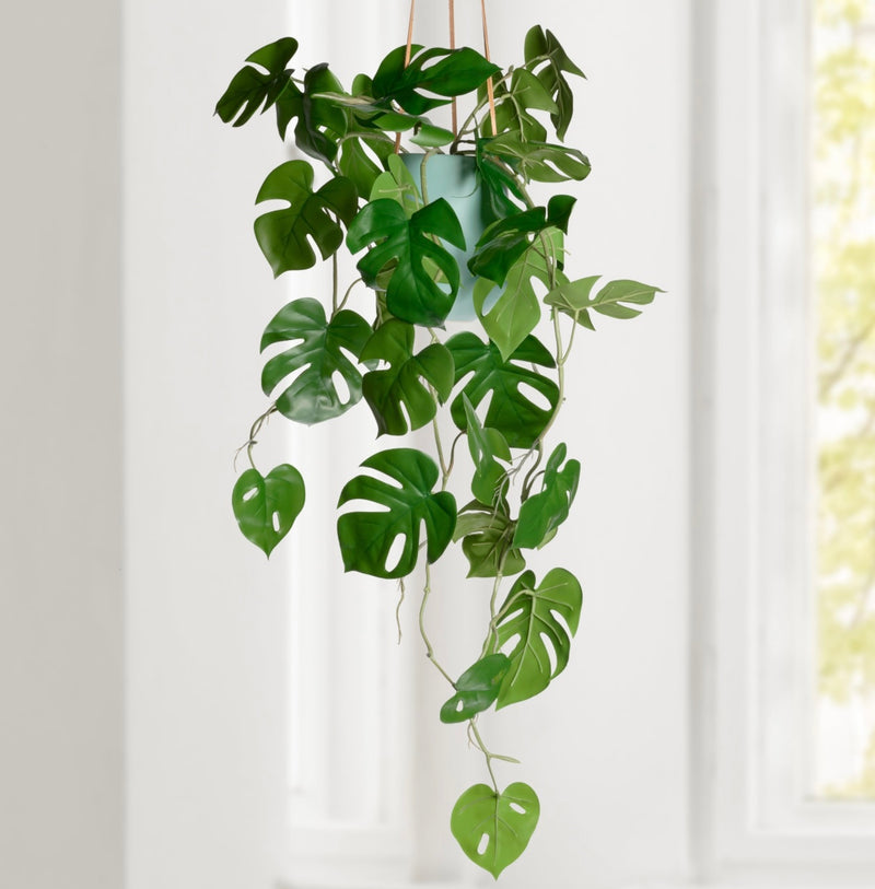 monstera plant hanging Hanging Faux Monstera