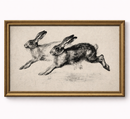 Vintage Rabbit Sketch Canvas Print