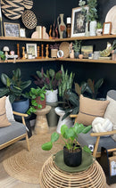 Haze Vintage Art Print