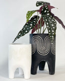 Arato Plant Pot -Black