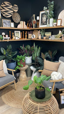 Statement Side Table -Black