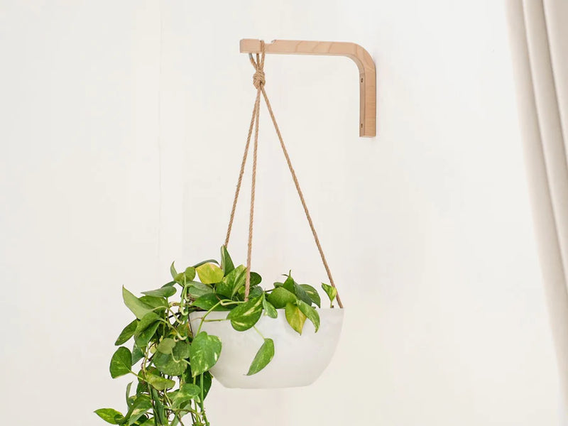 Kanso Birch Wall Bracket