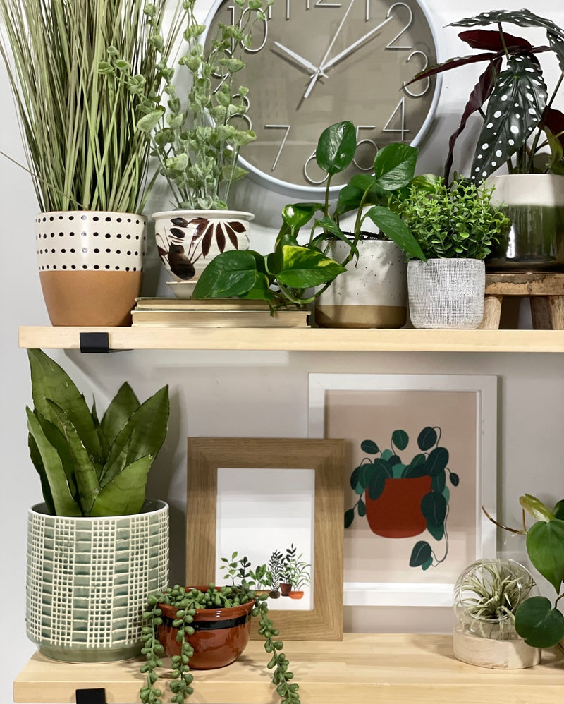 Zati Pots