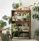 Gordon Open Shelf Bookcase
