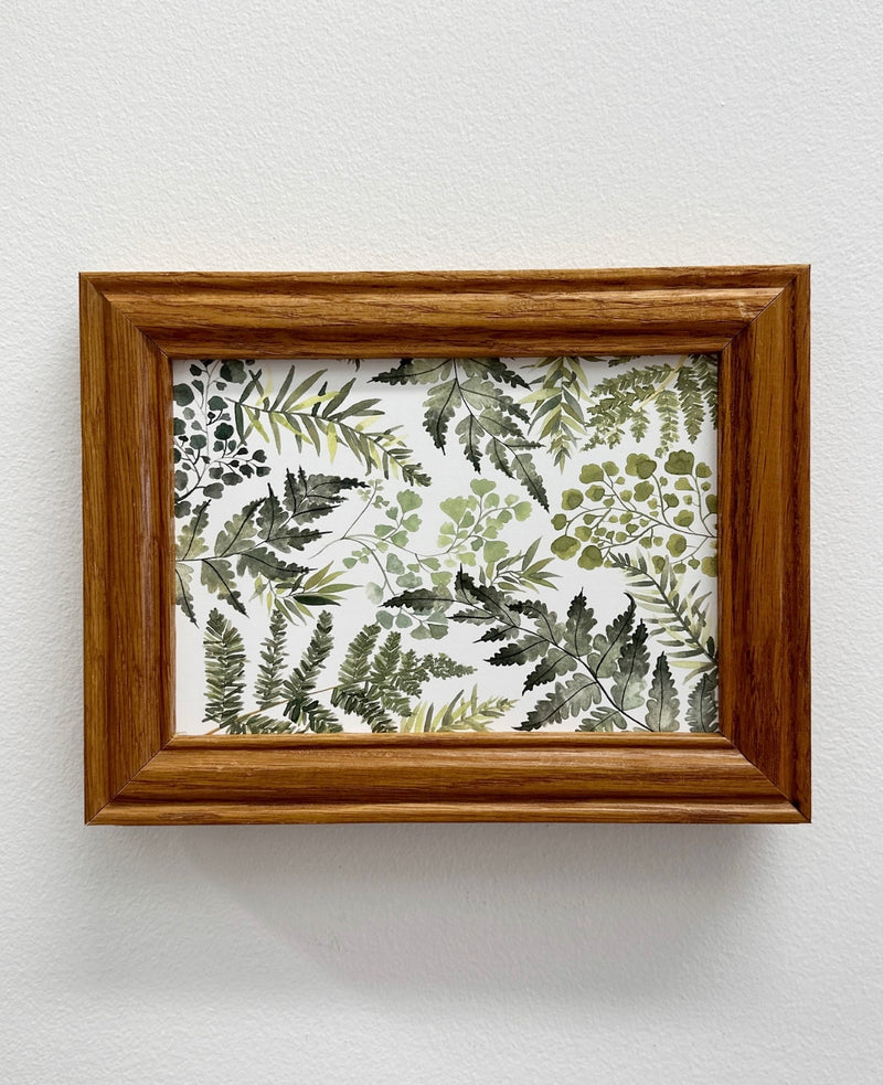 KA Framed Fern Botanical Art Print