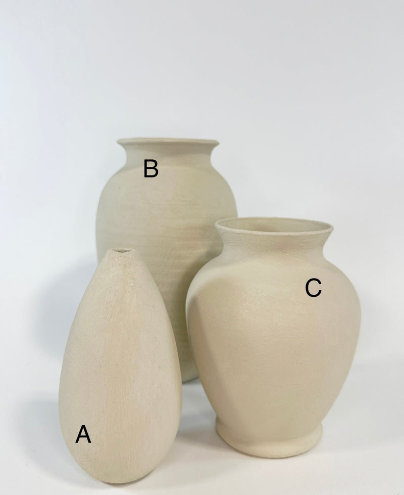 Assorted Nelle Vases -Medium