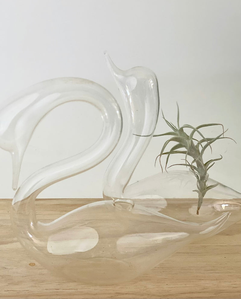 Glass Swan Vase