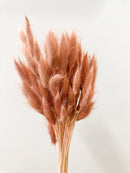 Bunny Tail Bunches - Rust