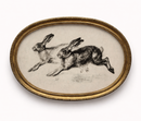 Vintage Rabbit Sketch Canvas Print