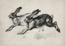 Vintage Rabbit Sketch Canvas Print