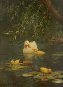 Swimming Ducks Canvas Print