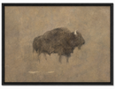 Western Buffalo Canvas Print