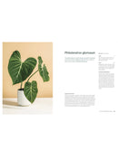 Welcome To The Jungle