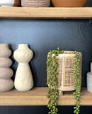 Faux String of Pearls Pick