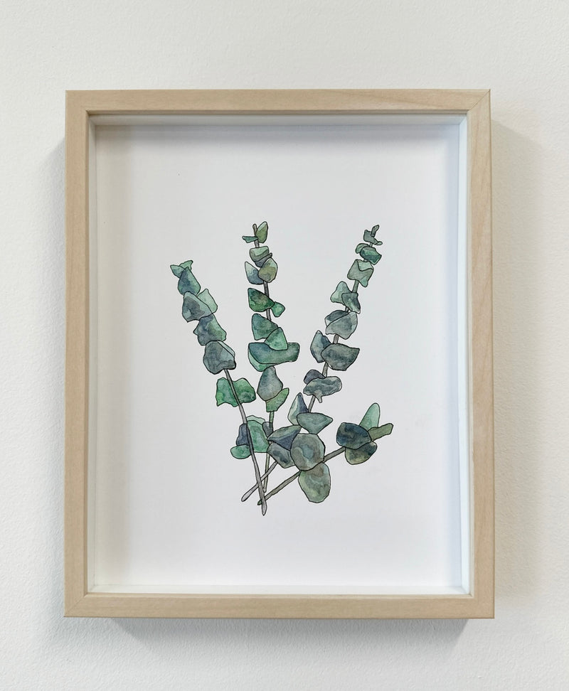 HGD Framed Eucalyptus Art Print