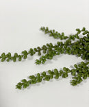 Faux String of Pearls Pick