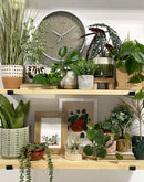 Faux String of Pearls Pick