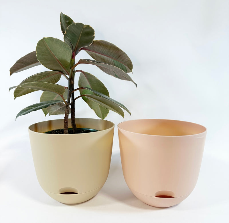 Pey Pey Plant Pots