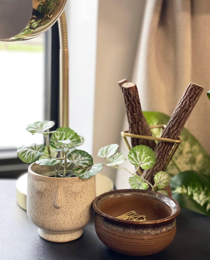 Vicks Mini Plant Pot