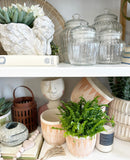 Angel Wing Planter with Arrangement