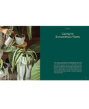 Welcome To The Jungle