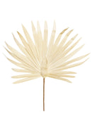 Oversized Palm -White