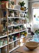 Oversized Palm -White