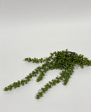 Faux String of Pearls Pick