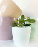 Madeirar Pastel Pot Collection