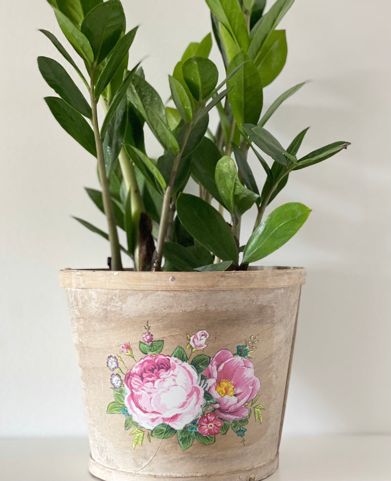 Peony Plant Basket