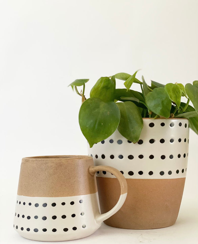 Dottie Mug and Plant Pot Collection