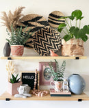 Sam & Leo Plant Pots